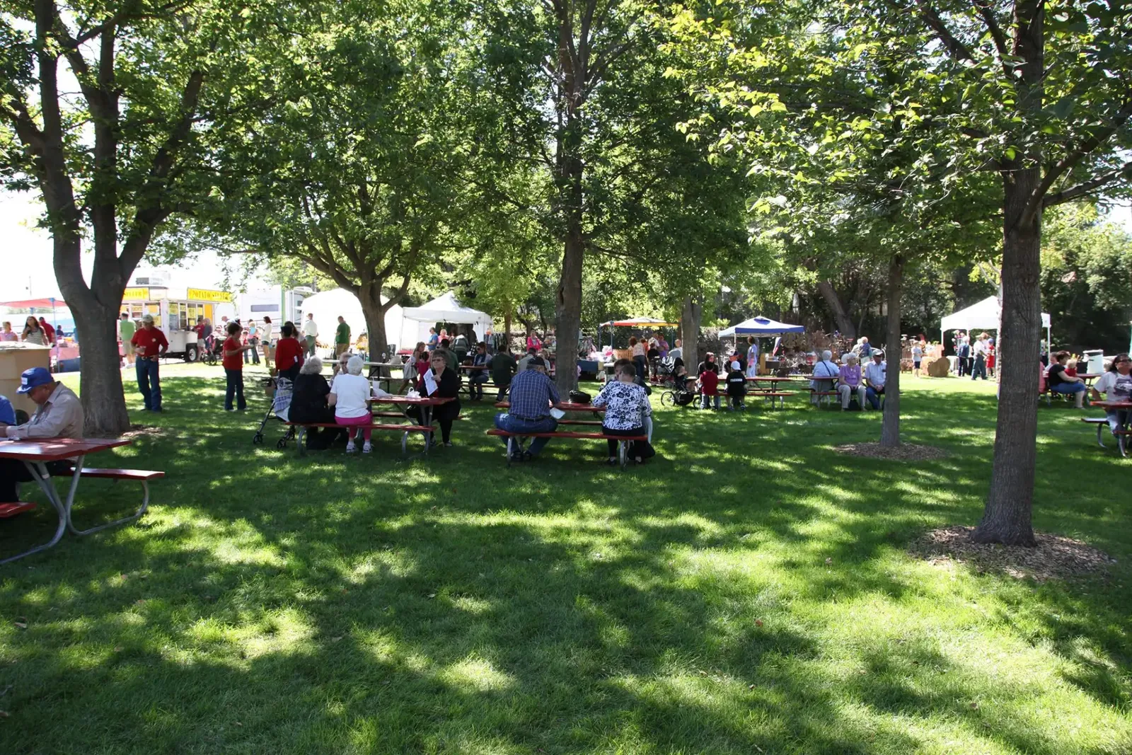 People gathered at picnic tables in a shaded park during a community event