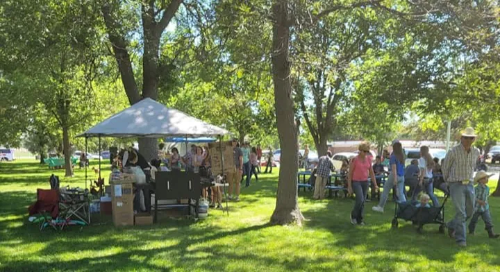 People browsing vendor tents beneath shade trees in a park